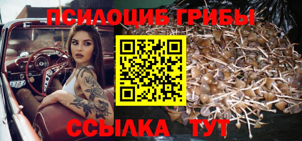 Пенза  Галлюциногенные грибы мицелий  Псилоцибиновые грибы GOLDEN TEACHER  Вход с VPN 