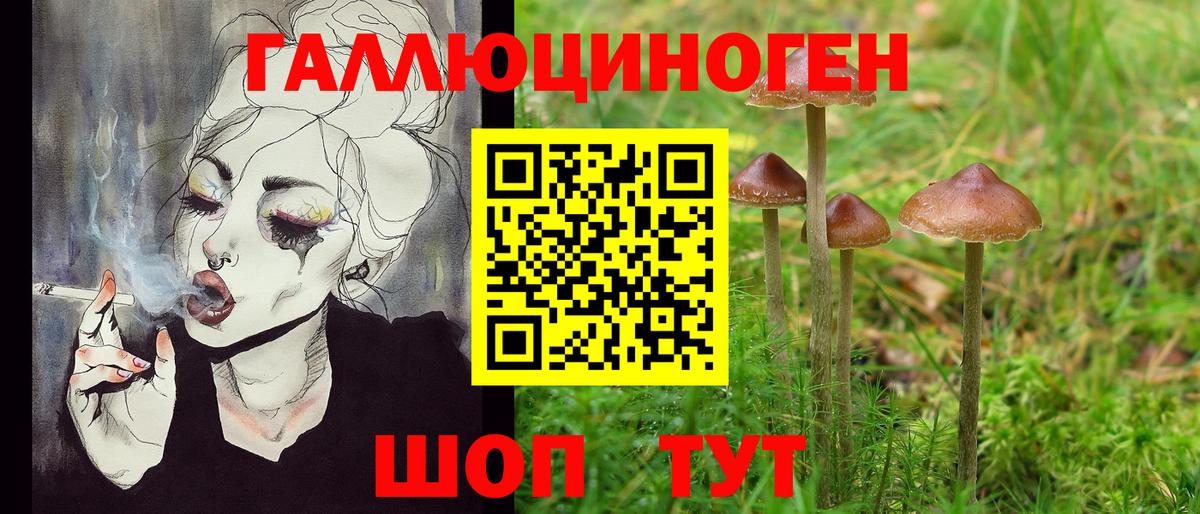Псилоцибиновые грибы мицелий Пенза